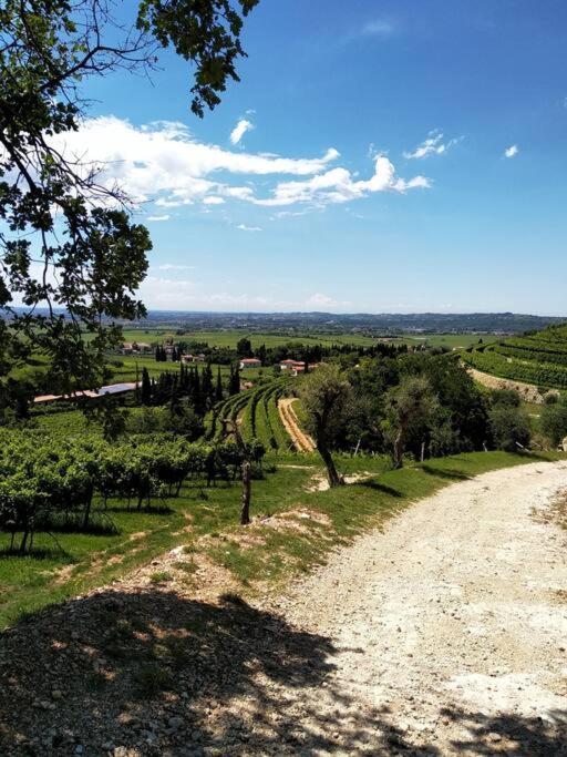 Giardino Del Borgo Appartamento Valpolicella SantʼAmbrogio di Valpolicella Exteriér fotografie