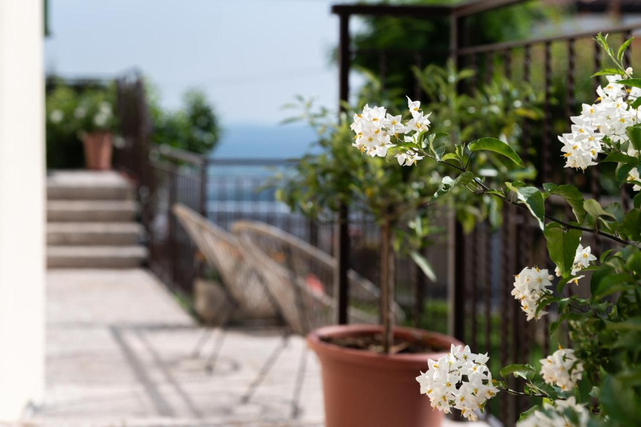Giardino Del Borgo Appartamento Valpolicella SantʼAmbrogio di Valpolicella Exteriér fotografie