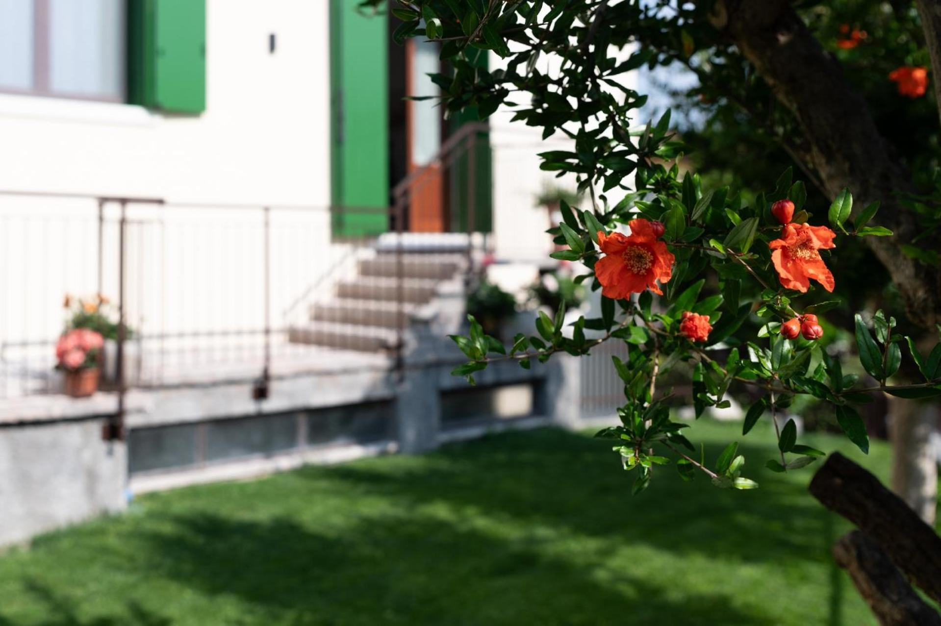 Giardino Del Borgo Appartamento Valpolicella SantʼAmbrogio di Valpolicella Exteriér fotografie